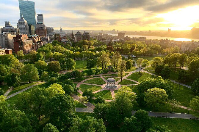 Boston & Cambridge Icons: Private 7-Hour Discovery Tour - Who Should Consider This Tour?