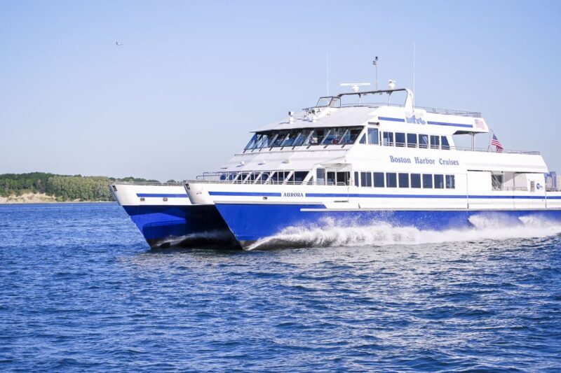 Boston: City Cruises Whale Watching Cruise - An Authentic Look at the Whale Watch Experience