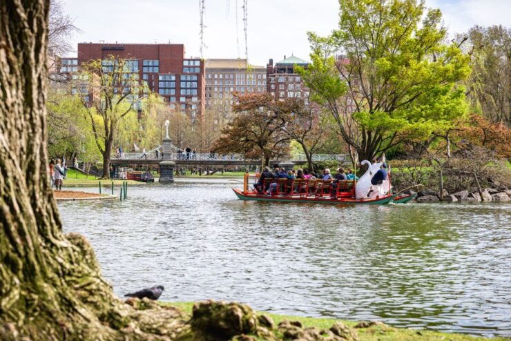 Boston City Walking Tour - Activity Details