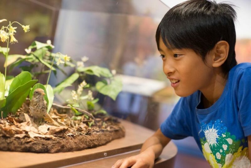 Boston CityPASS®: Save up to 46% at 4 Top Attractions - The Cost-Effectiveness and Practicality