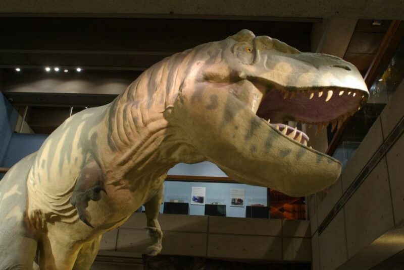 Boston CityPASS®: Save up to 46% at 4 Top Attractions - Final Thoughts