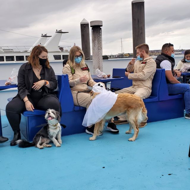 Boston: Dog-Friendly Halloween Costume & Sightseeing Cruise - Experience Highlights