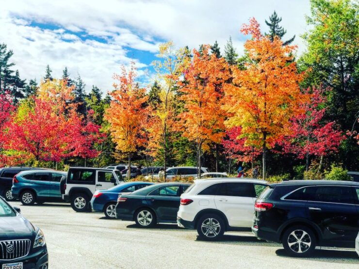 Boston: Fall Foliage Tour - Included Services