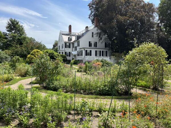 Boston: Guided Day Trip to Salem by Ferry With Witch Museum - Customer Reviews
