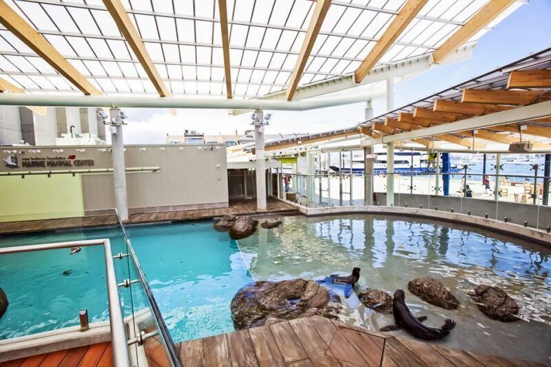 Boston: New England Aquarium Entry + Optional Simons Theatre - The Sum Up  