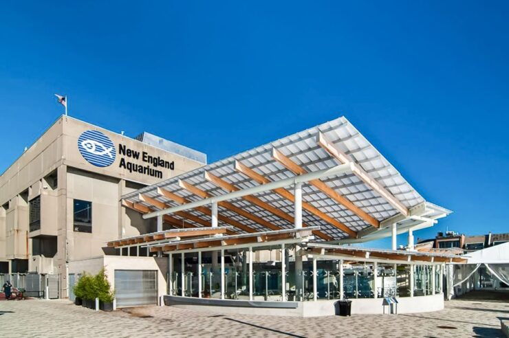Boston: New England Aquarium Skip-the-Line Entry Ticket - Visitor Experience Highlights