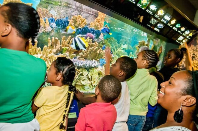 Boston: New England Aquarium Skip-the-Line Entry Ticket - Ticket Information for Visitors