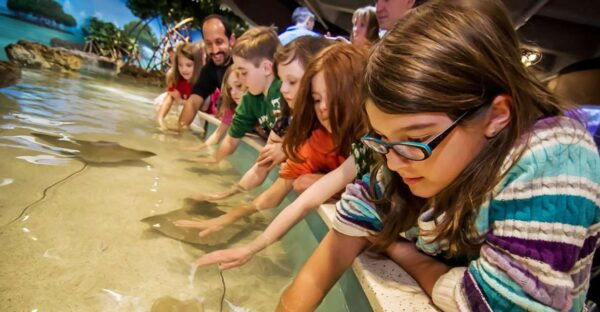 Boston: New England Aquarium Skip-the-Line Entry Ticket - Transportation Details and Tips