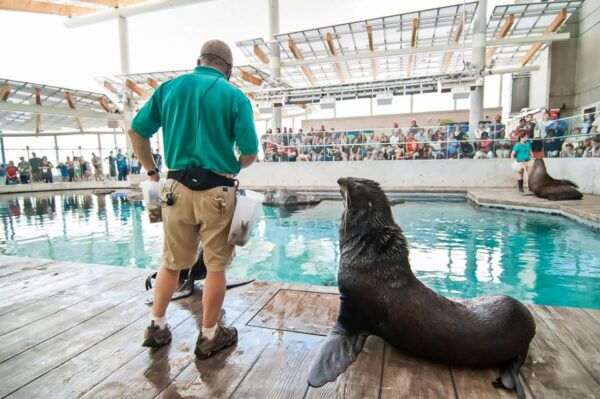Boston: New England Aquarium Skip-the-Line Entry Ticket - Frequently Asked Questions