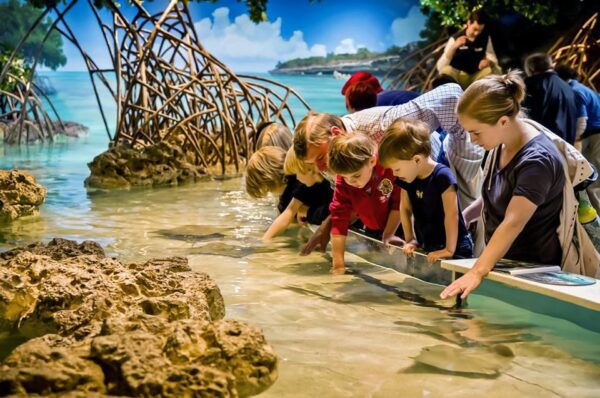 Boston: New England Aquarium Skip-the-Line Entry Ticket - The Sum Up