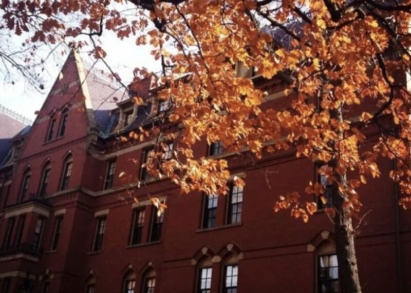 Boston Premium Driving Tour with Boat Cruise and Bunker Hill - Who Should Consider This Tour?