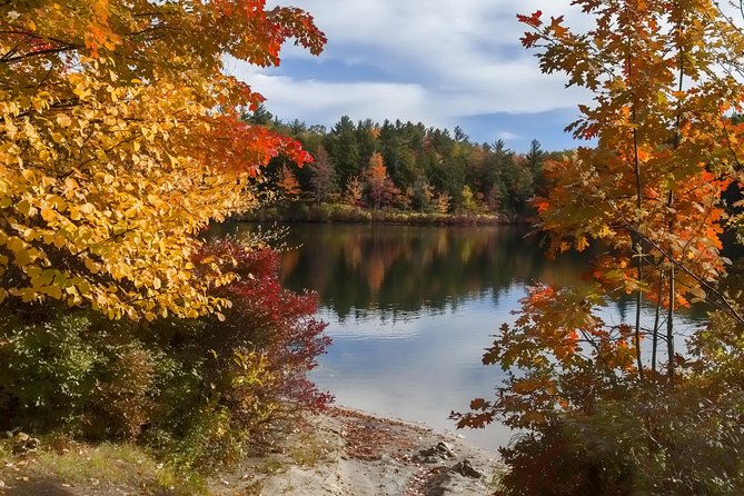 Boston to New Hampshire Fall Foliage White Mountains Day Trip - Viator Help Center