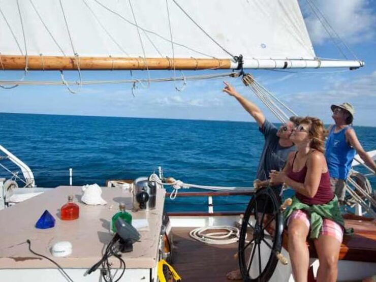 Boston: Weekend Mimosas and Brunch Sail on Boston Harbor - Good To Know