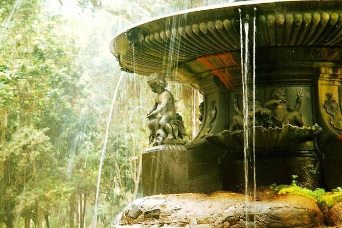 Botanic Garden and Parque Lage Guided Tour & Transfer - Pickup Information