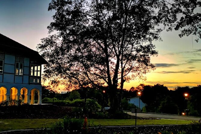 Botanic Gardens, Tiong Bahru & Gardens by the Bay Walking Tour - Booking and Availability