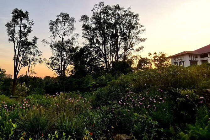 Botanic Gardens, Tiong Bahru & Gardens by the Bay Walking Tour - Cancellation and Refund Policy