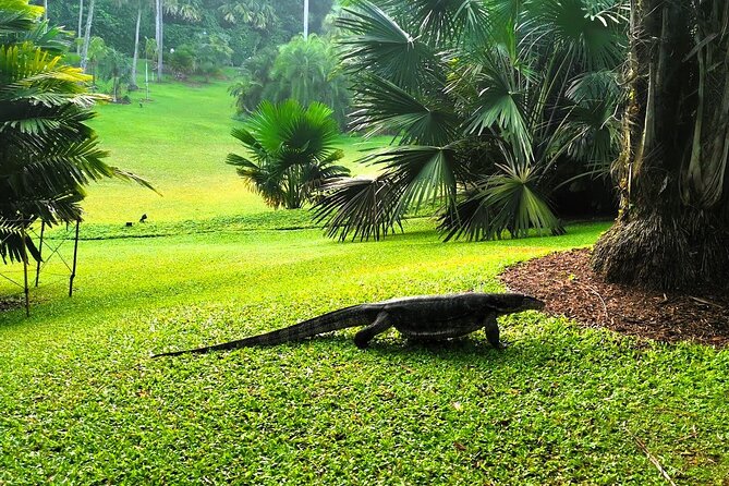 Botanic Gardens, Tiong Bahru & Gardens by the Bay Walking Tour - General Information