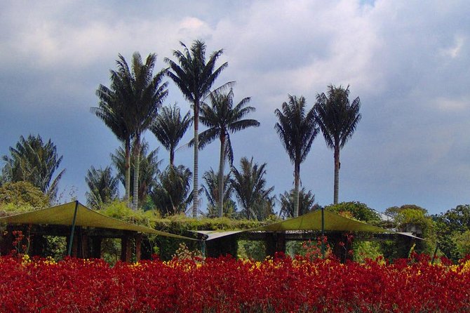 Botanical Garden Bogotá Private Tour (4 Hrs.) - Tour Highlights