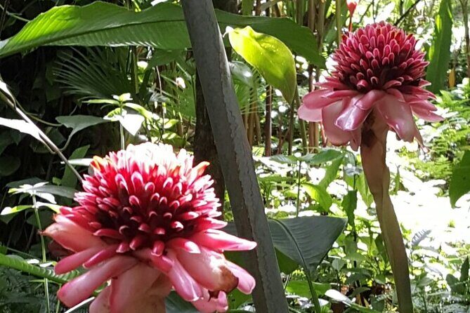 Botanical Garden Exploration - Good To Know