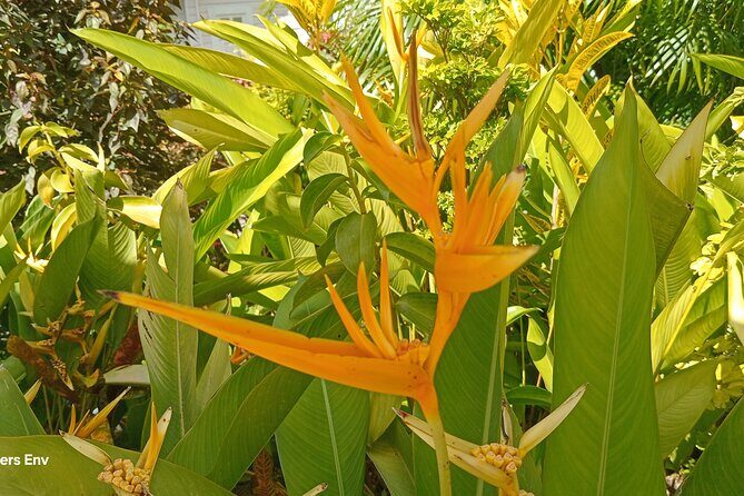 Botanical Garden Exploration - FAQ