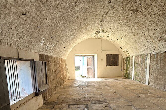 Botanical Gardens and City Tour - Practical Tips for Travelers