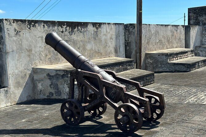 Botanical Gardens and City Tour - Summary and Final Thoughts