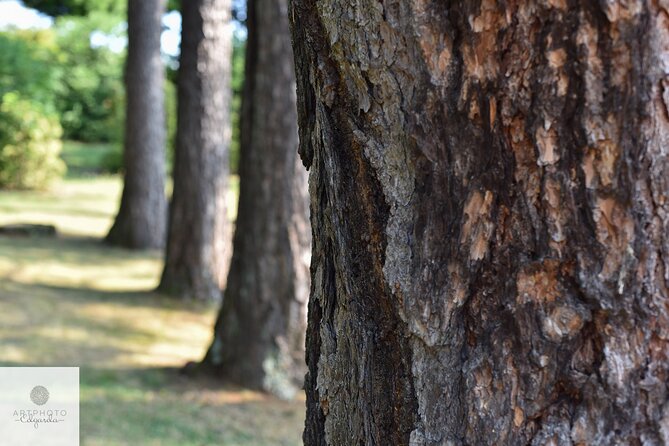 Botanical Photo Tour in Parco San Grato Lugano With Contest - Cancellation Policy and Refunds