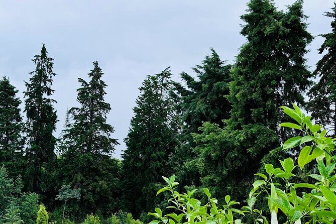 Botanical Tour and waterfall swim at The Cloudforest Bioreserve - Frequently Asked Questions