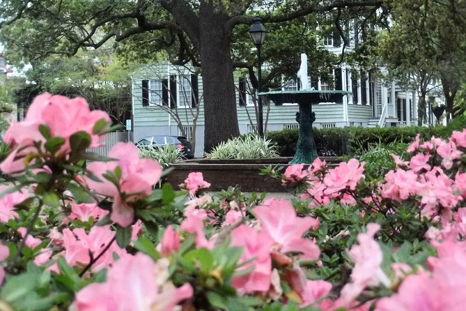 Botanical Tour (by Walk With Me Savannah Tours) - Pricing