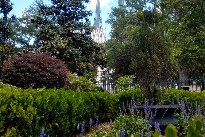 Botanical Tour (by Walk With Me Savannah Tours) - Common Questions
