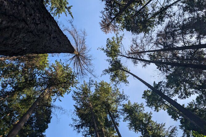 Botany of Witchcraft - Good To Know