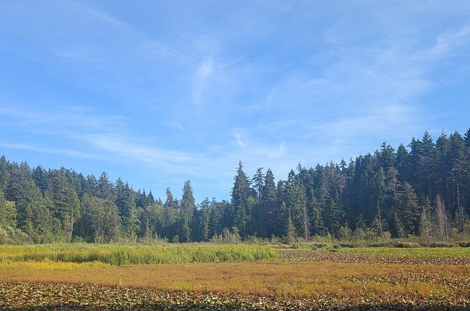 Botany of Witchcraft - Authentic Experiences From Past Participants