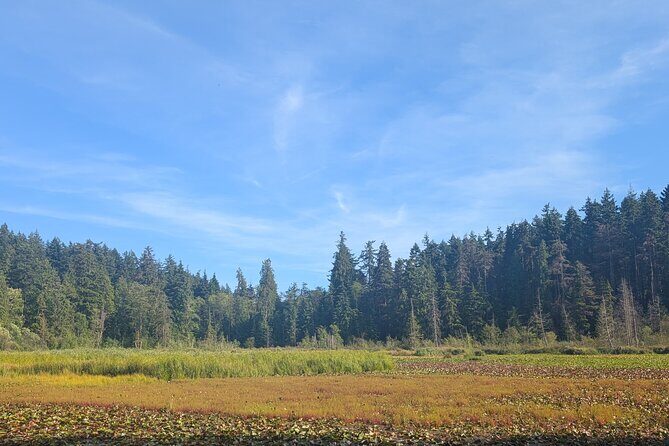 Botany of Witchcraft - FAQ