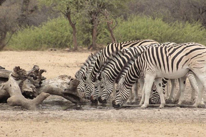Botswana Classic Camping Safari ( 8nights/9 Days) - Accommodation Details