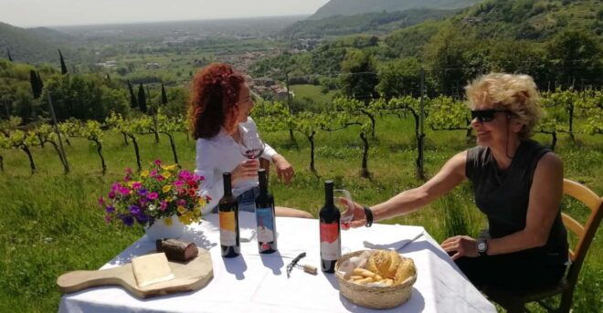 Botticino (Bs): Wine Tasting at Noventa - Botticino Wine Selections and Pairings