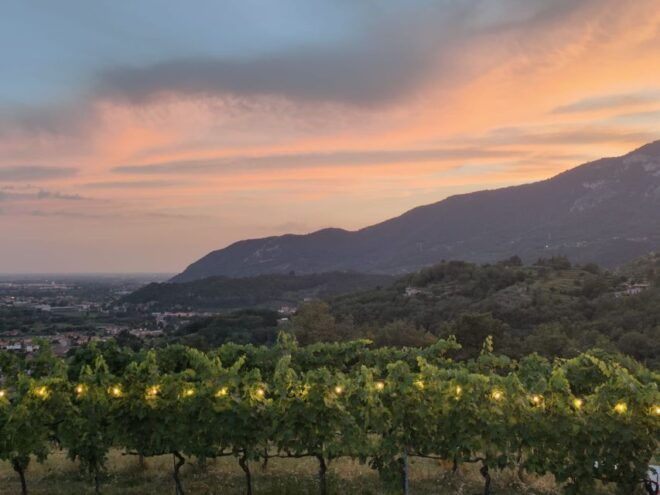 Botticino (Bs): Wine Tasting at Noventa - Reservation and Booking Information