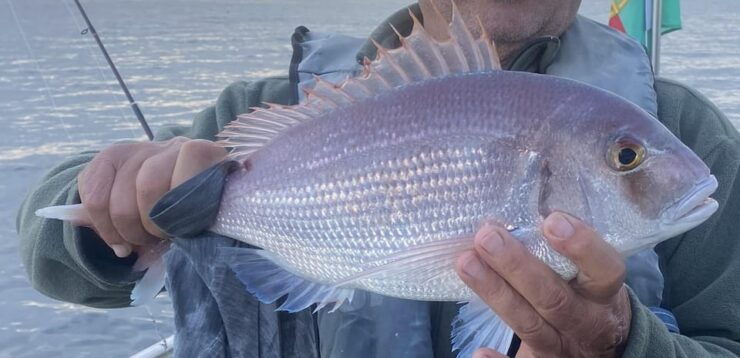 Bottom Fishing Lagos - Booking Information