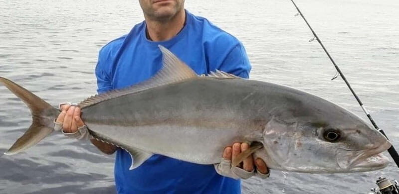 Bottom fishing & light trolling Puerto Calero, Lanzarote - The Sum Up