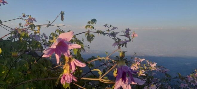 Boudhanath, Pashupatinath and Nagarkot - Nagarkot Countryside
