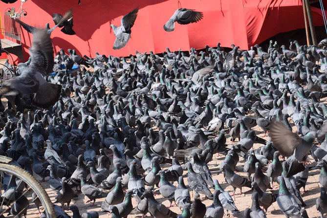 Boudhanath & Pashupatinath Half Day Tour in Kathmandu - Cultural Experiences