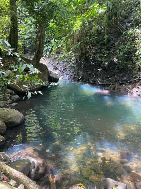 Bouillante Tour: Discover the city of hot water - Transport, Timing, and Group Size