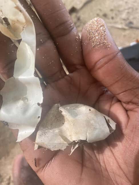 Bouillante Tour: Discover the city of hot water - Who should consider this tour?