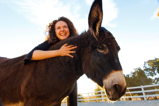 Boulder Equine Discovery Experience - Whats Included and Meeting Details