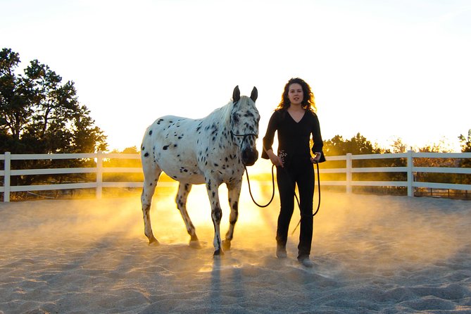 Boulder Equine Discovery Experience - Additional Information