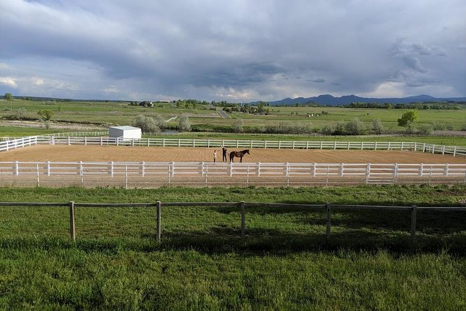 Boulder Equine Discovery Experience - Cancellation Policy