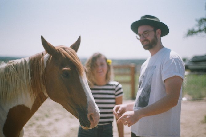 Boulder Equine Discovery Experience - The Sum Up