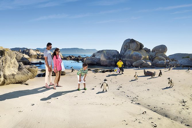 Boulders Beach Cape Town: Swimming With Penguin & Close Encounter Half Day Tour - Pricing and Booking Details