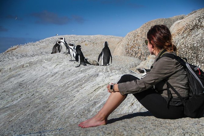 Boulders Beach Cape Town: Swimming With Penguin & Close Encounter Half Day Tour - The Sum Up
