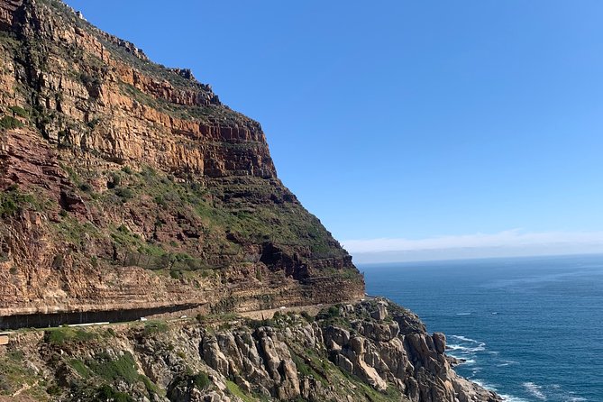 Boulders Beach Penguins and Seal Island Boat Trip Half Day Tour - Tour Highlights