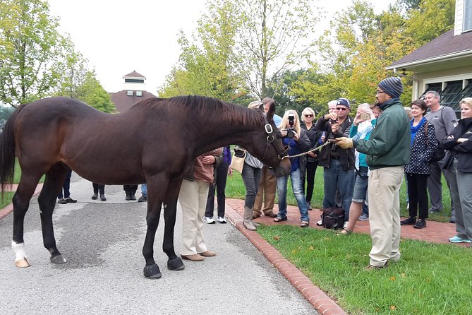 Bourbon Distillery & Horse Farm Tours - Common Questions